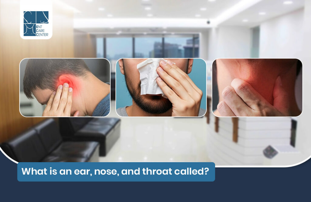 What is an ear, nose, and throat called?